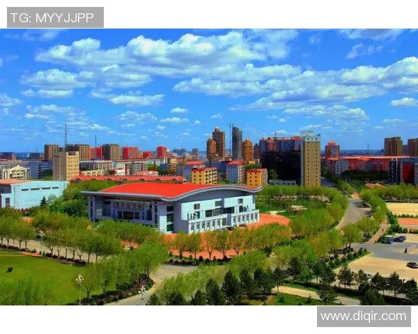 南京乒乓球队在奥运会上的奋斗与荣耀之路全景回顾